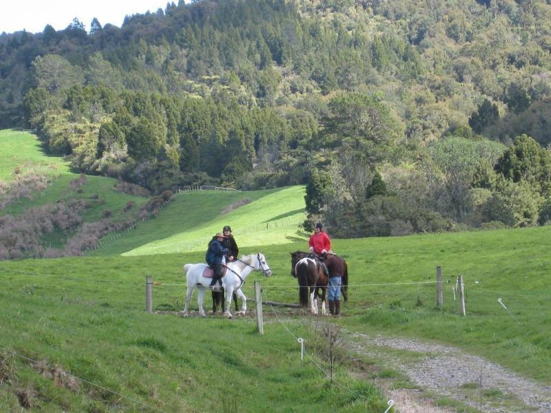 Kaimai Country Lodge Katikati Luaran gambar