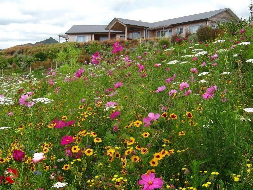 Kaimai Country Lodge Katikati Luaran gambar